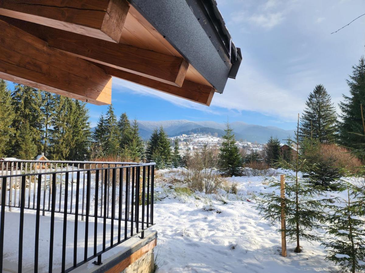 Chalet Mokhy & Nature Vorokhta